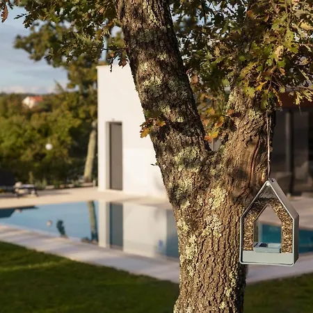 Eos * Sveti Petar u Sumi